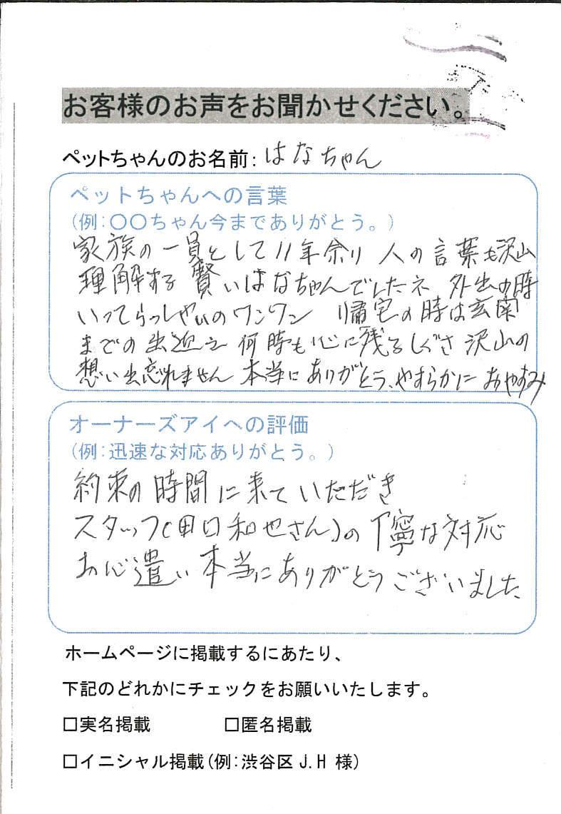 江戸川区 はなちゃん