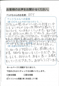 世田谷区 BOY君 N様