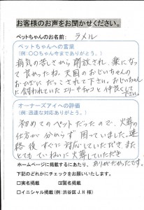 世田谷区 ラメルちゃん