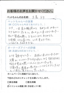 渋谷区 A.T様 土屋ラテちゃん