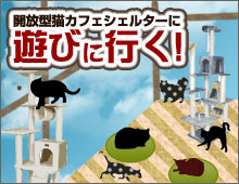 Npo法人 東京キャットガーディアン様 ペット関連業者様のご紹介 訪問ペット火葬オーナーズアイ 東京都 渋谷発