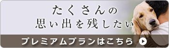 おまかせ返骨プラン